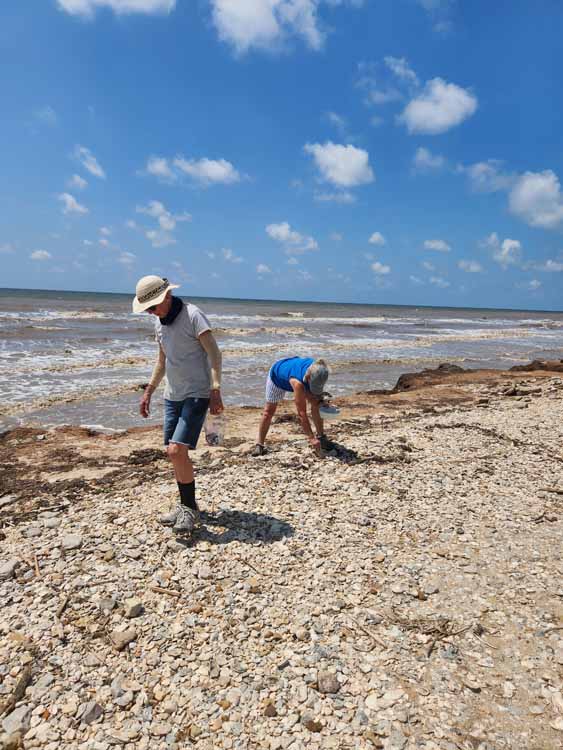 searching for sea glass